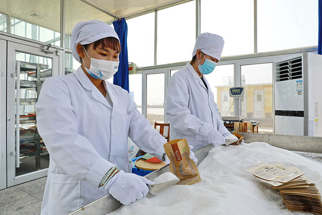 �T���L��