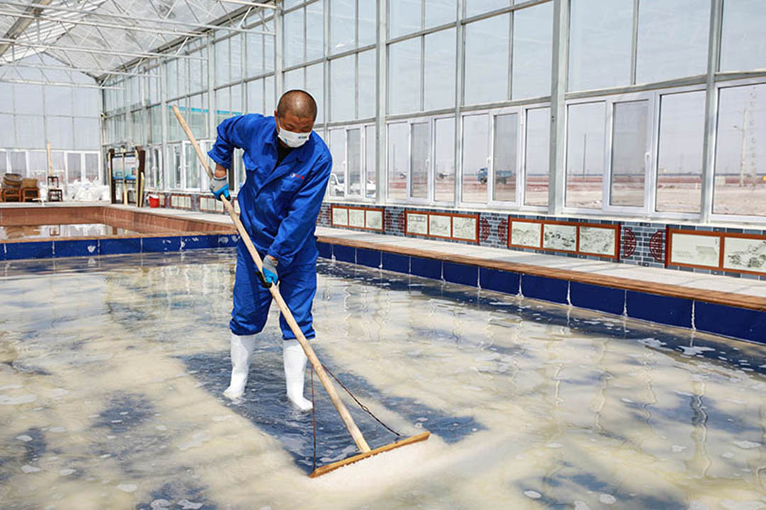 �T���L��