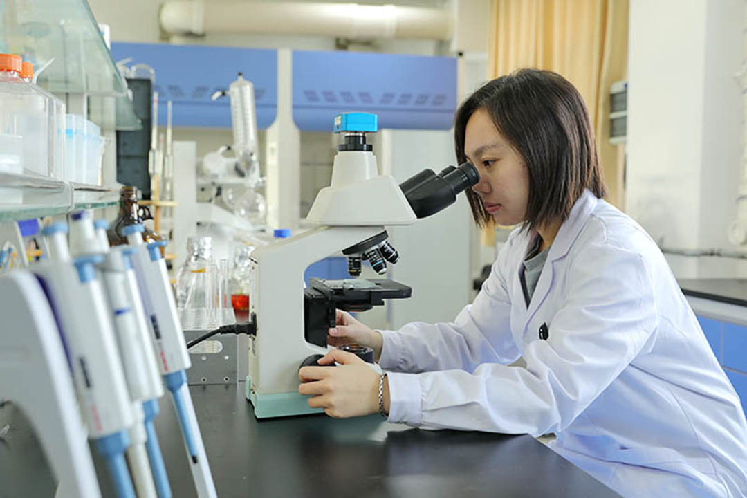 �T���L��