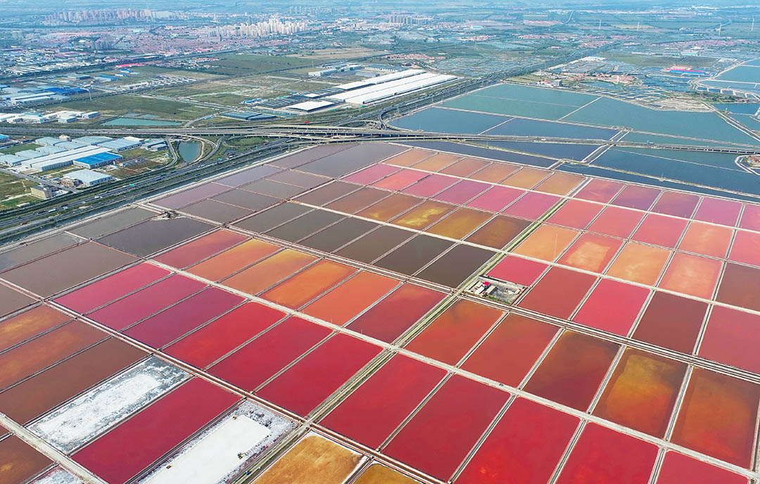 2024��h(hu��n)���z�y���